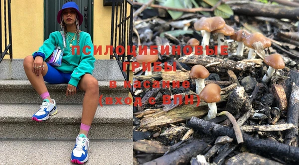 jwh Медногорск