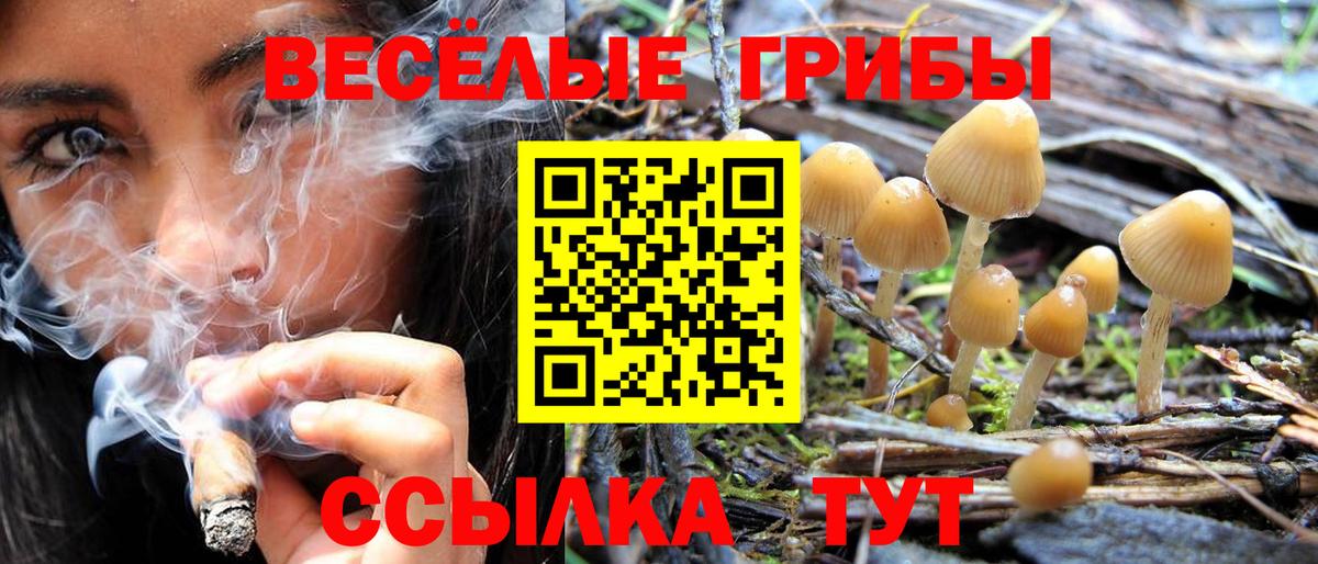 Псилоцибиновые грибы Magic Shrooms  Вход с VPN  Выкса 