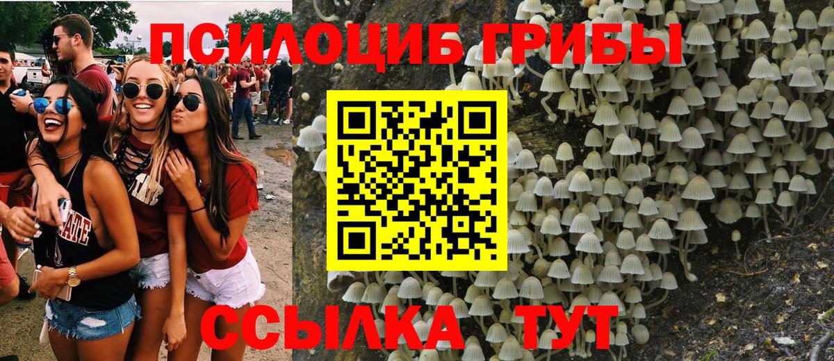 Псилоцибиновые грибы мухоморы Выкса
